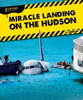 Miracle Landing on the Hudson Online Sale