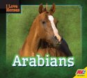 Arabians For Sale