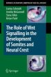 The Role of Wnt Signalling in the Development of Somites and Neural Crest For Cheap