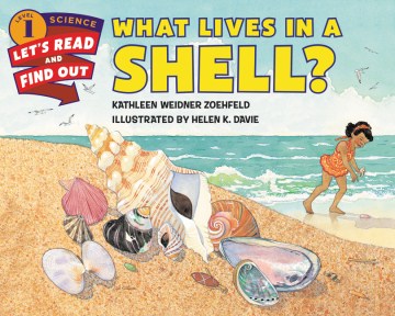 What Lives in a Shell? Sale