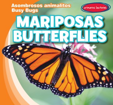 Mariposas   Butterflies Online Sale