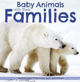 Baby Animals with Their Families Cheap