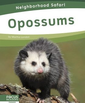 Opossums Online Hot Sale