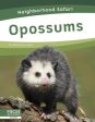 Opossums Online Hot Sale