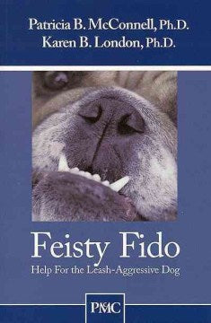 Feisty Fido Hot on Sale