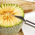 2-in-1 Scoop & Carve: Stainless Steel Melon Baller & Fruit Cutter For Discount